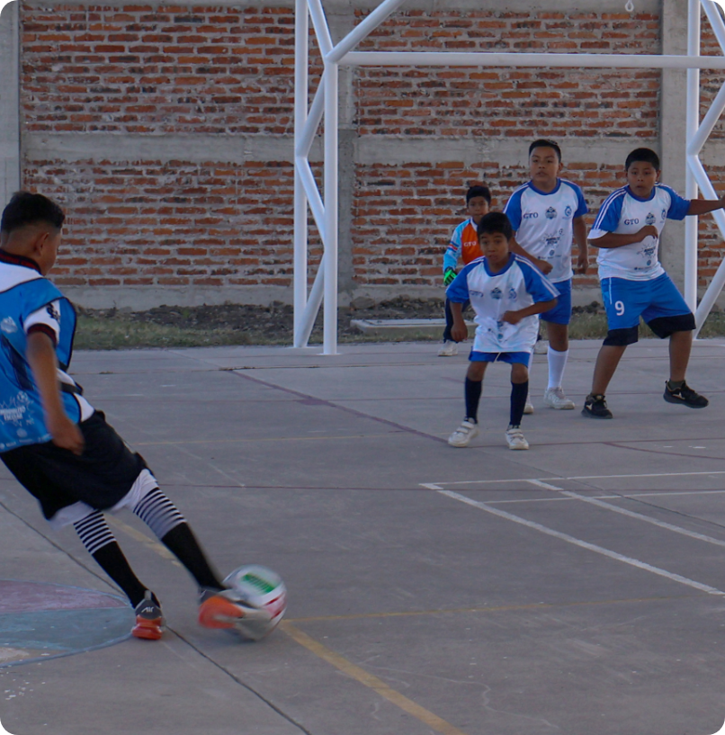 Actividades preparatorias